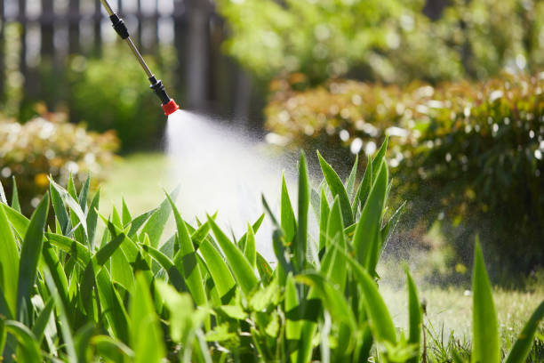 24/7 Emergency Ant Control experts in Benton Heights, MI