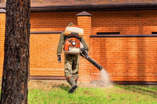 Trusted Termite Control service in Benton Heights, MI - Nex Pest Control